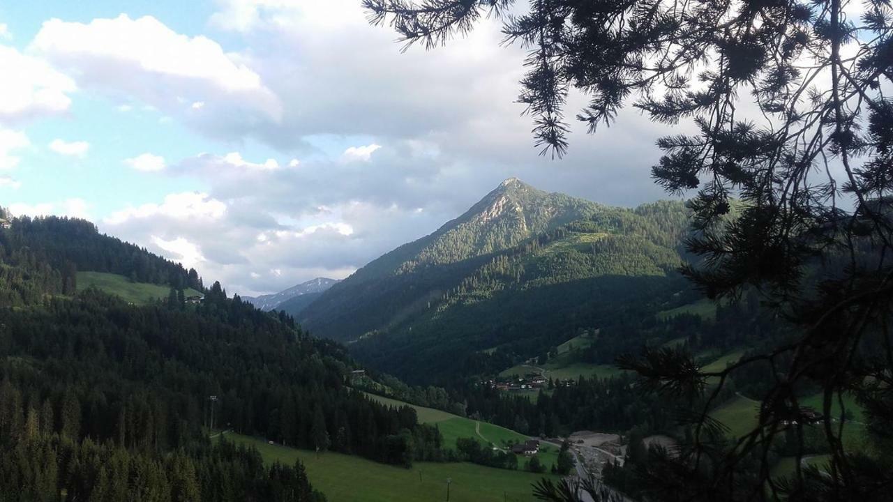 Appartement Bettina Mitterwallner Altenmarkt im Pongau Exteriör bild